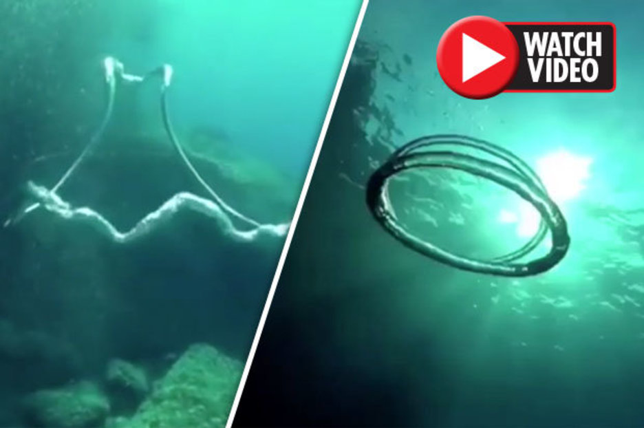 Underwater bubble rings: Water vortex caught on camera