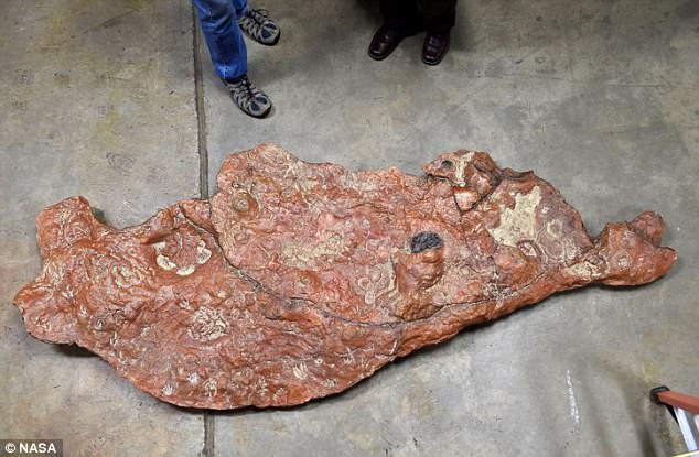 Massive rock shows fossilized tracks of dinos and mammals