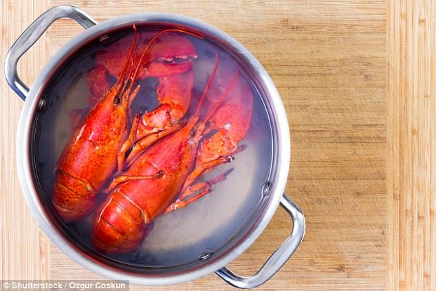 Celebrities ask for ban on crustaceans being boiled