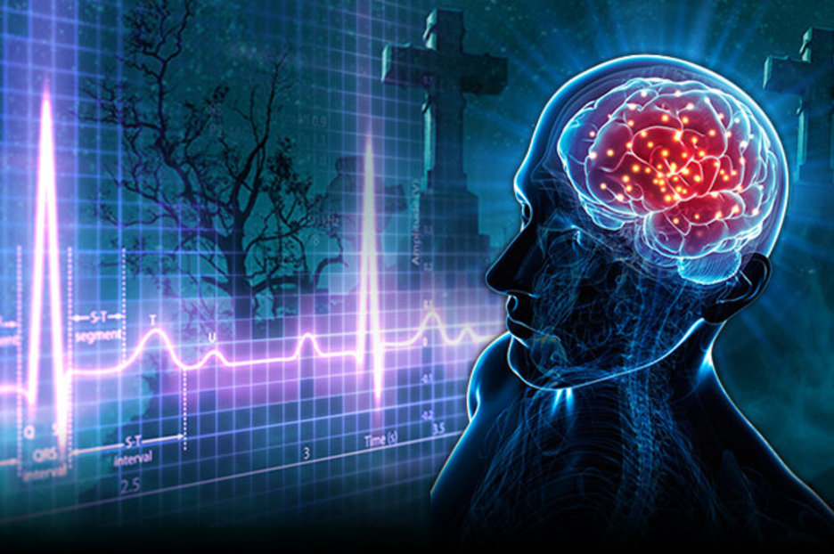 Cryogenics scientist reveals what happens to the brain after you die