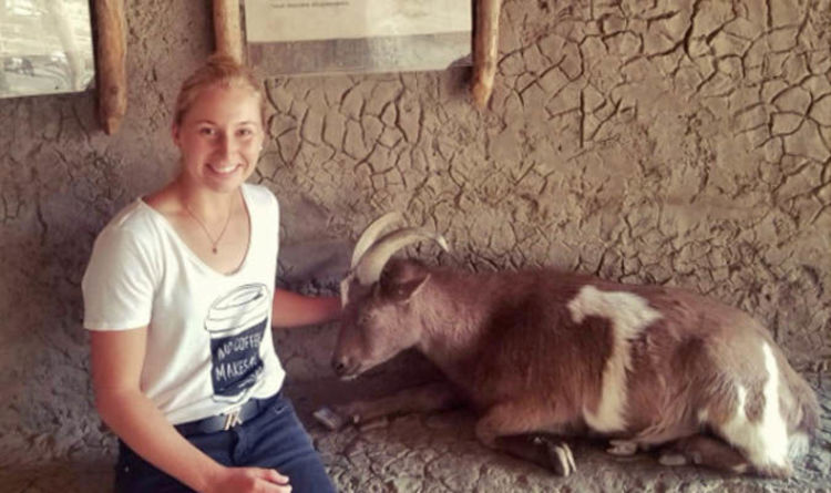 Roger Federer: Daria Gavrilova likens tennis legend to farmyard animal in hilarious tweet | Tennis | Sport