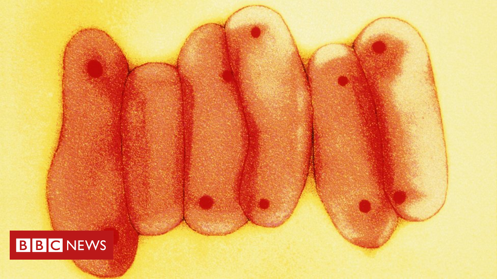 Tuberculosis rates in England fall by third in six years