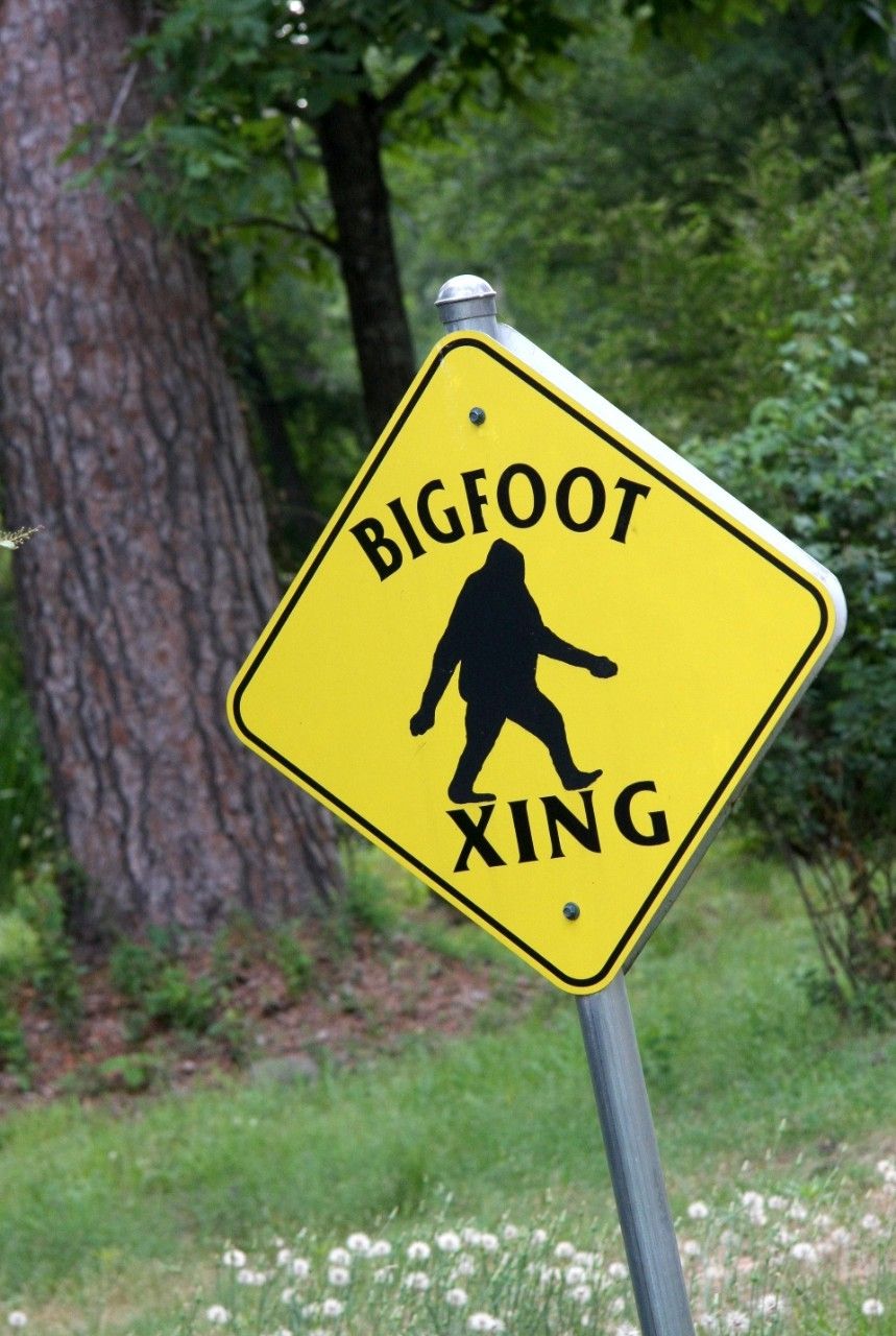 Bigfoot spotted in New Jersey?