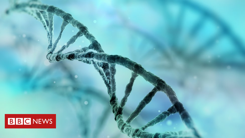 Genes behind deadly heart condition found, scientists say