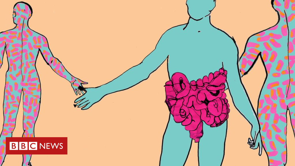 Why a faecal transplant could save your life