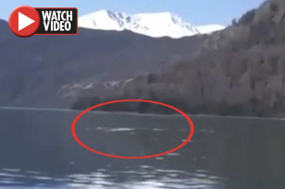Loch Ness monster FOUND? Mystery creature filmed lurking in lake