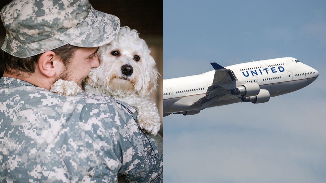 United makes short-term exception to transportation of military pets