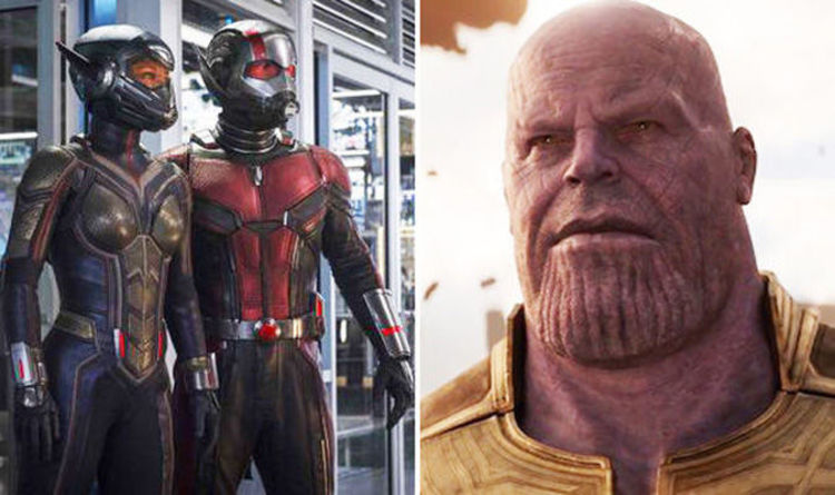 Avengers 4: PROOF Ant-Man and the Wasp is set JUST before Infinity War | Films | Entertainment
