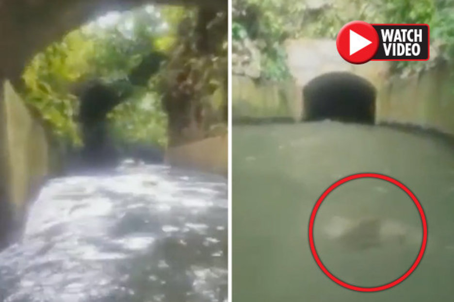 Ghost news: Group left PETRIFIED by what they recorded on boat trip