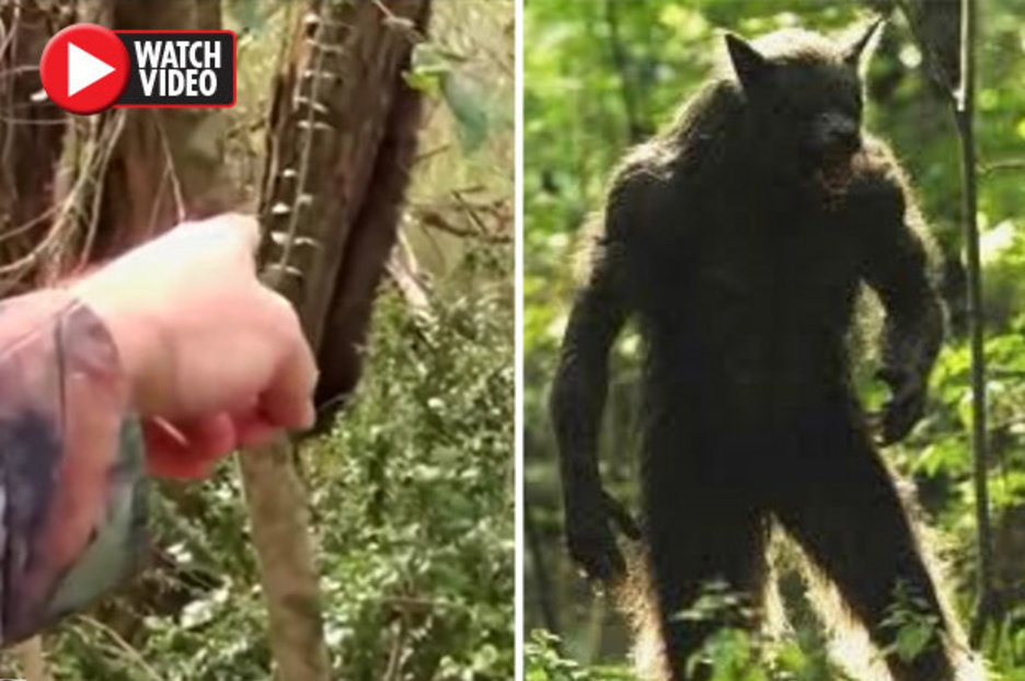 Dogman: Explorer left terrified by close encounter with mystery beast