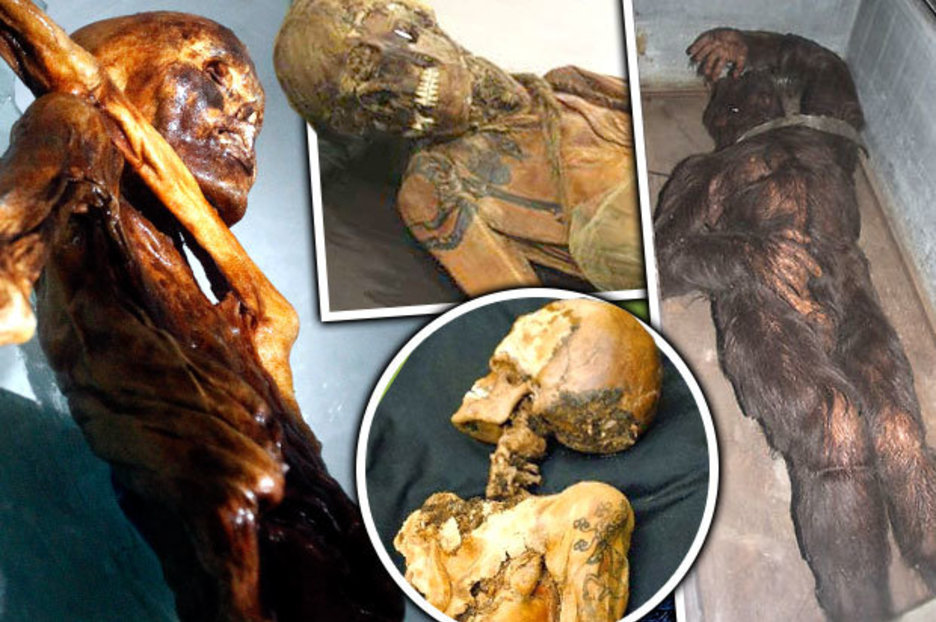 Ancient history: Mysterious creatures frozen for millennia hold past secrets