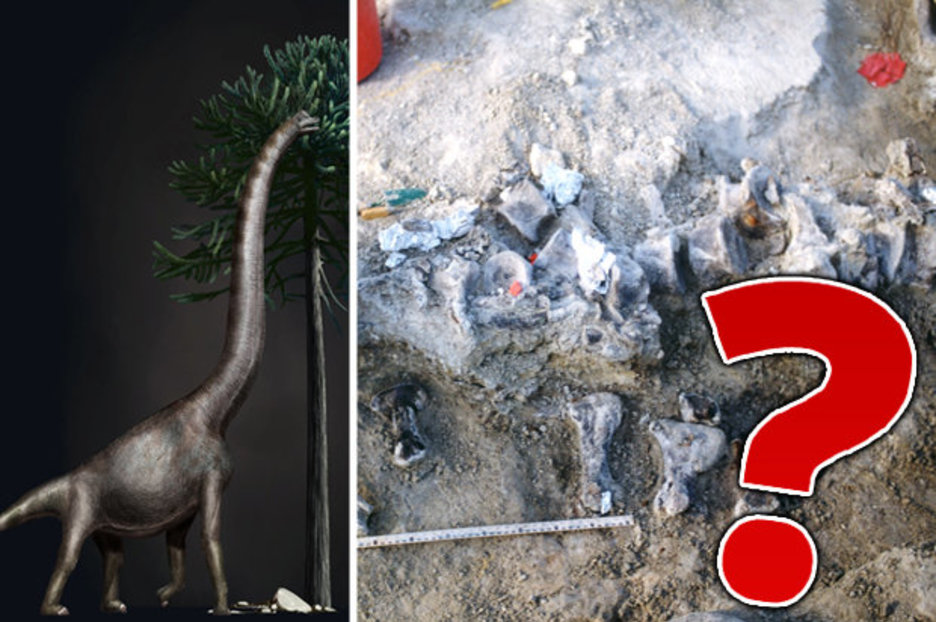 Weird news: Dinosaur fossil Bigfoot unearthed in 1998 FINALLY identified