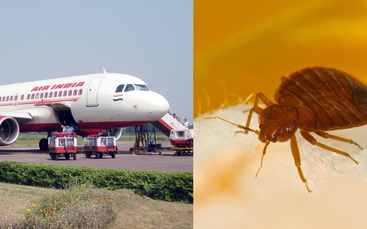 Air India flights from New Jersey ‘infested’ with bed bugs, passengers claim