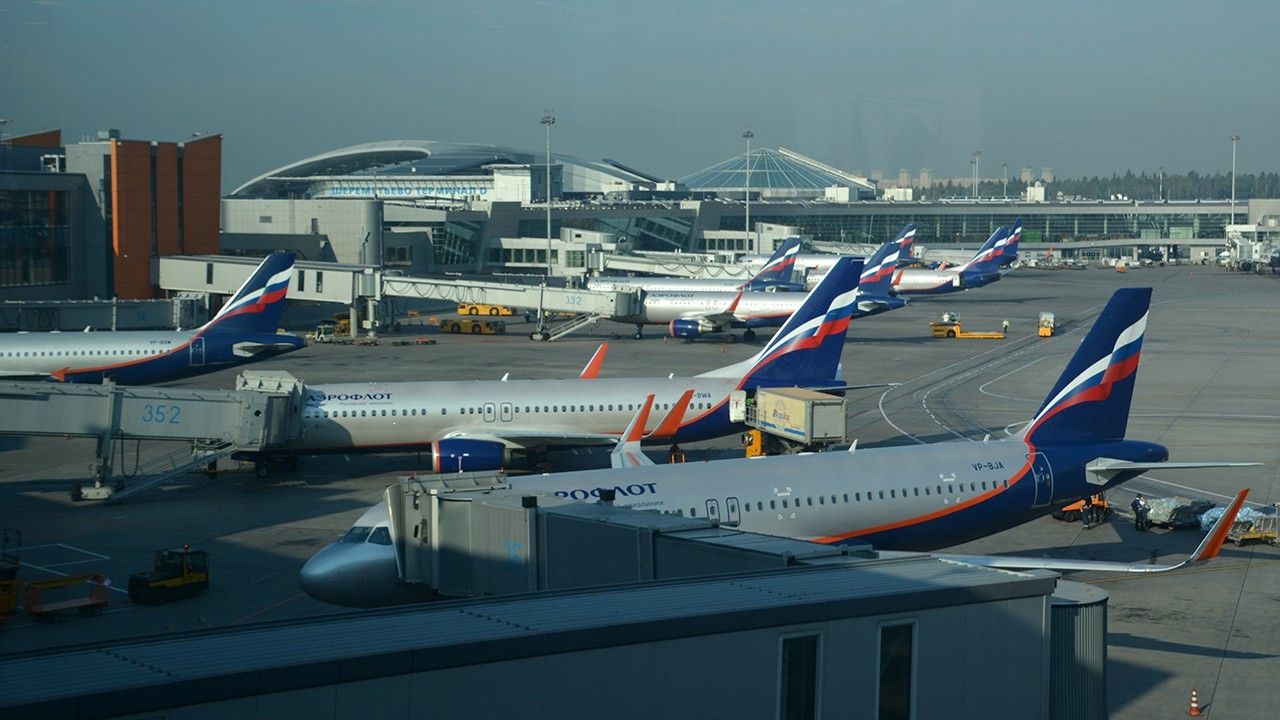 Nervous dog escapes crate, forces emergency landing by tearing ‘inner lining of luggage compartment’