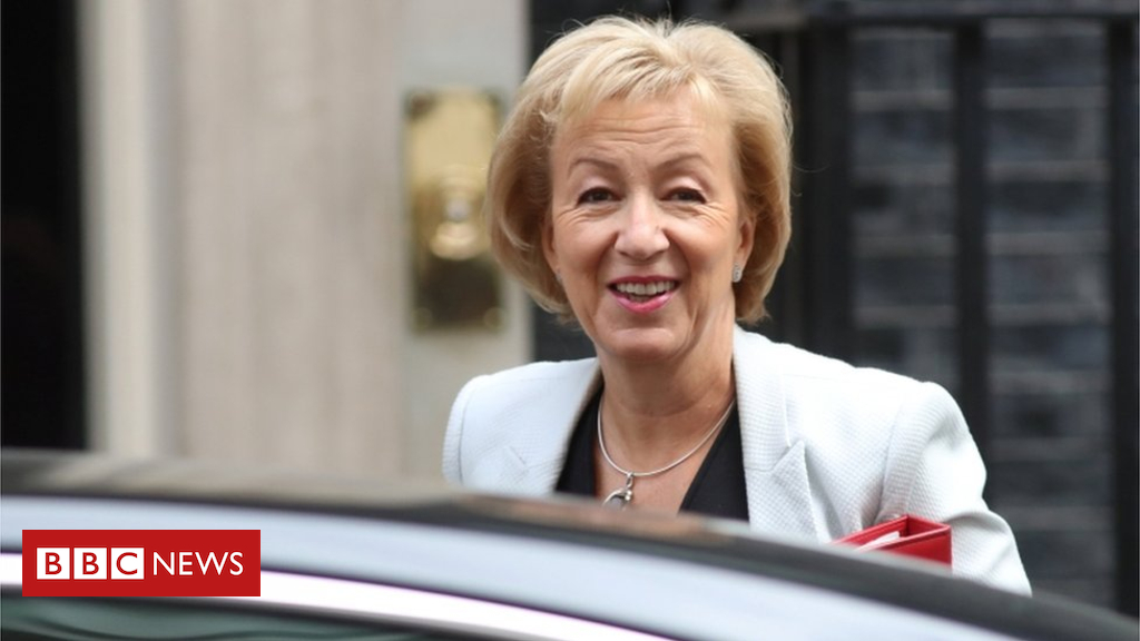 Brexit: Tell EU the Chequers plan is final offer, says Leadsom