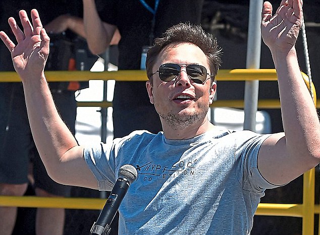 Now Elon Musk plunges to an Burton even bigger loss at Tesla