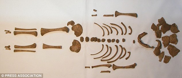 Roman children had a problem with rickets, new evidence reveals