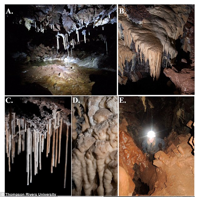 The ‘Iron Curtain’ Canadian cave that could hold ancient bacteria capable of killing off superbugs