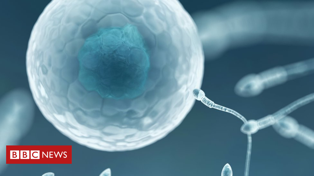 NHS told ‘offer transgender fertility treatment’ or face legal action