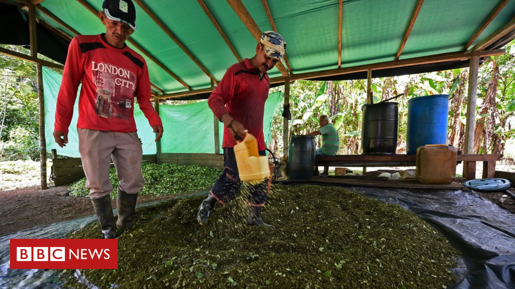 Drones hunt cocaine farms in Colombia
