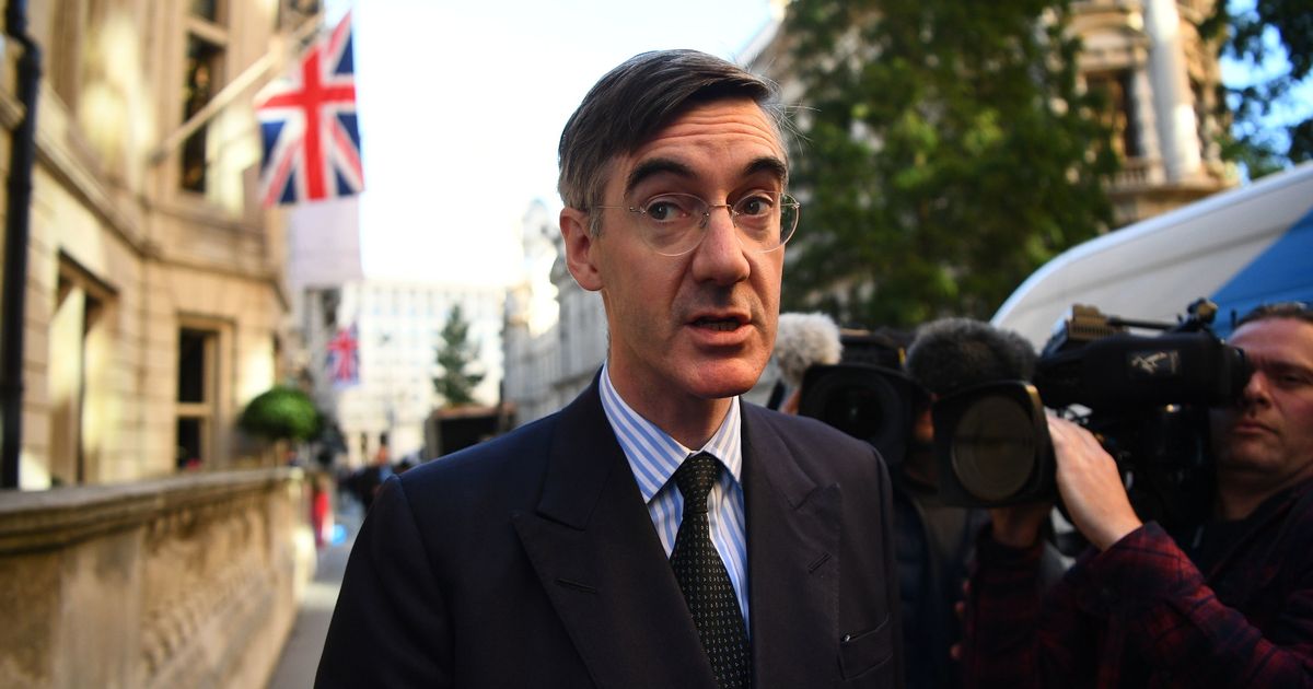 Brexit news: ‘Bus trips halted, planes grounded and UK meat banned from EU under no-deal disaster’