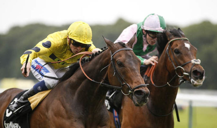 Horse Racing Tips: Ascot, Haydock, Kempton, Thirsk, Wolverhampton, Stratford