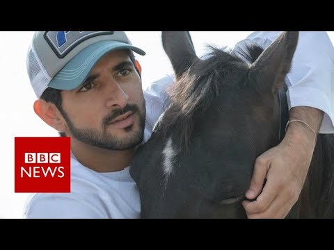 Crown Prince of Dubai, the animal rescuer – BBC News