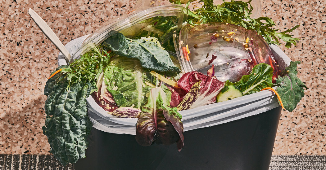 Is Your Salad Habit Good for the Planet?