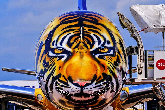 Akzo Nobel takes to skies in partnership with aeroplane maker Embraer