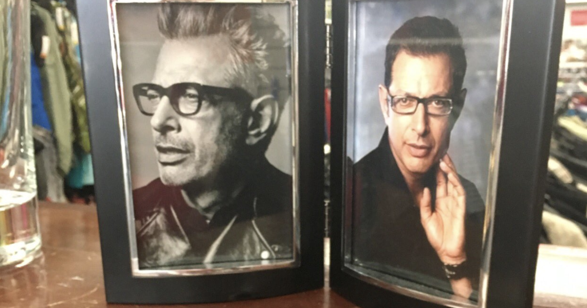 There’s A Charity Store With Photos Of Jeff Goldblum In All Its Picture Frames