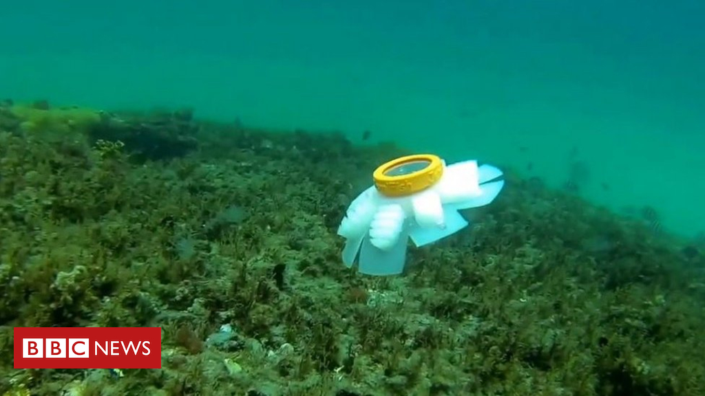 Jellyfish robots to watch over endangered coral reefs