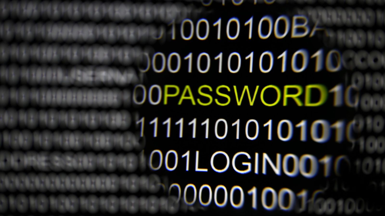 Darktrace backer Talis places fresh bet on digital skills start-up