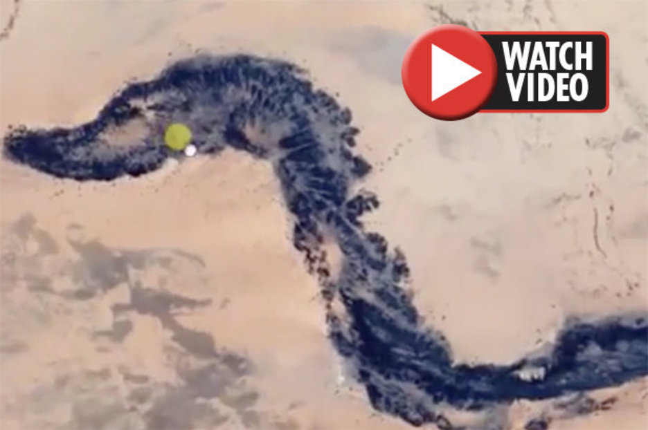 Google Maps: Dragon fossil discovered in middle of Mauritanian Desert