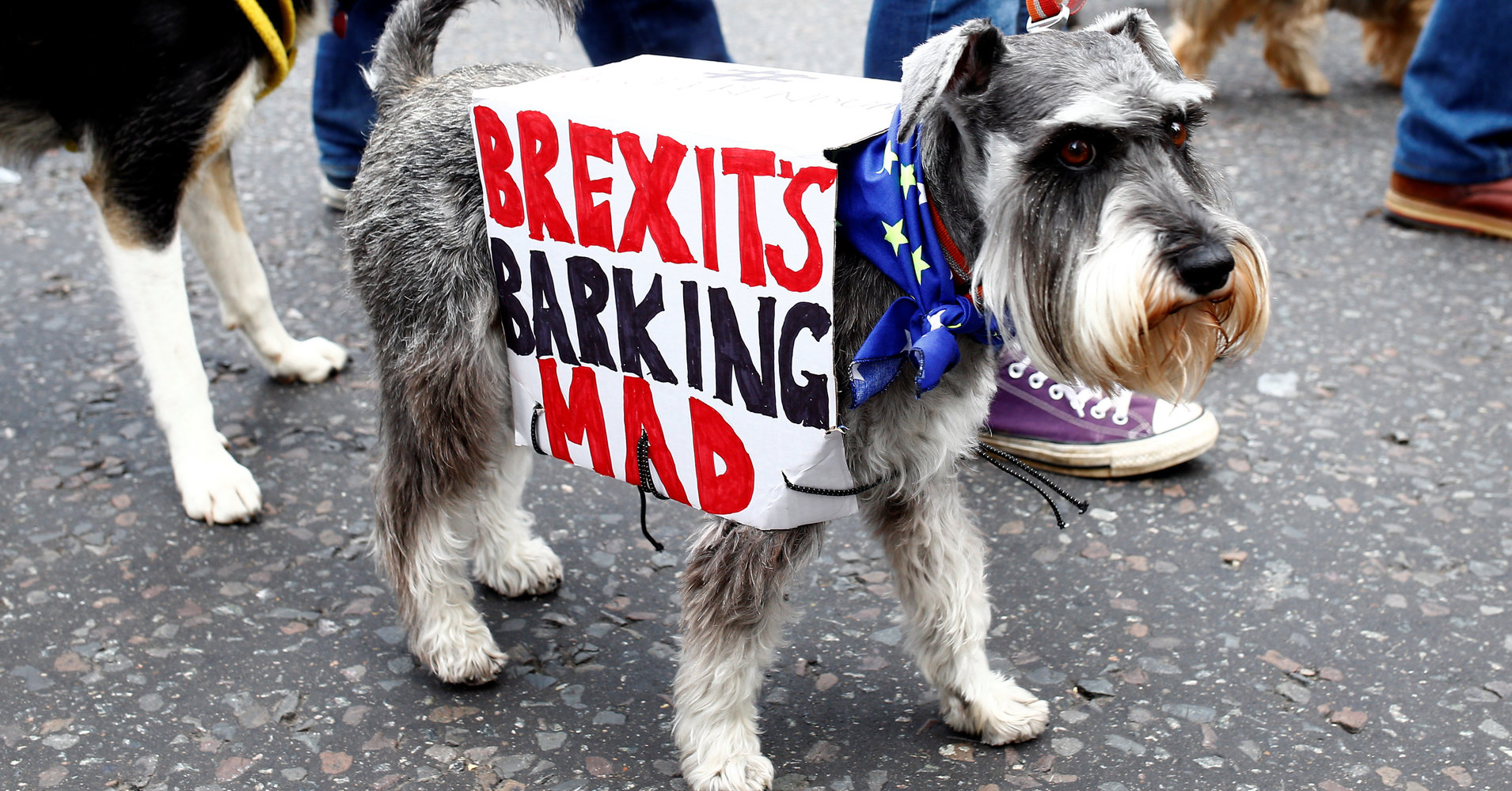 British Dogs (And Their Owners) Demand Brexit ‘Wooferendum’