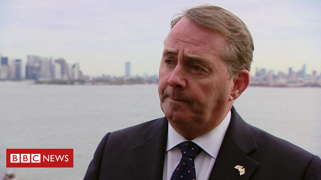 Theresa May has my full support over Brexit – Liam Fox