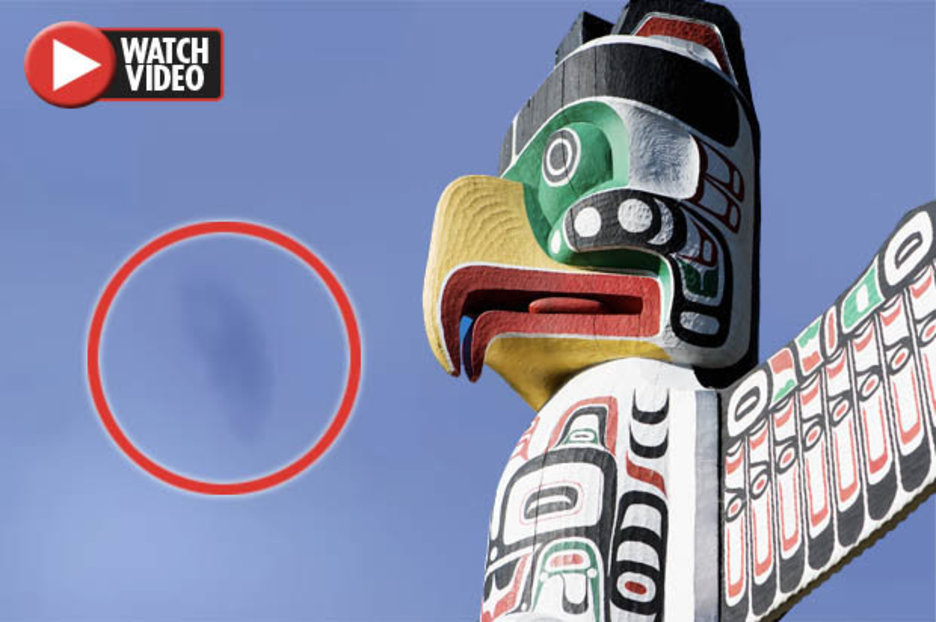 ‘Thunderbird’ creature filmed in sky by stunned onlooker