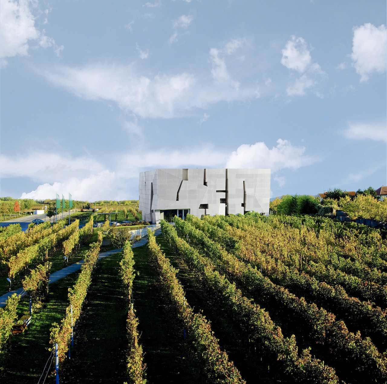 Exploring Austria’s Wine Routes