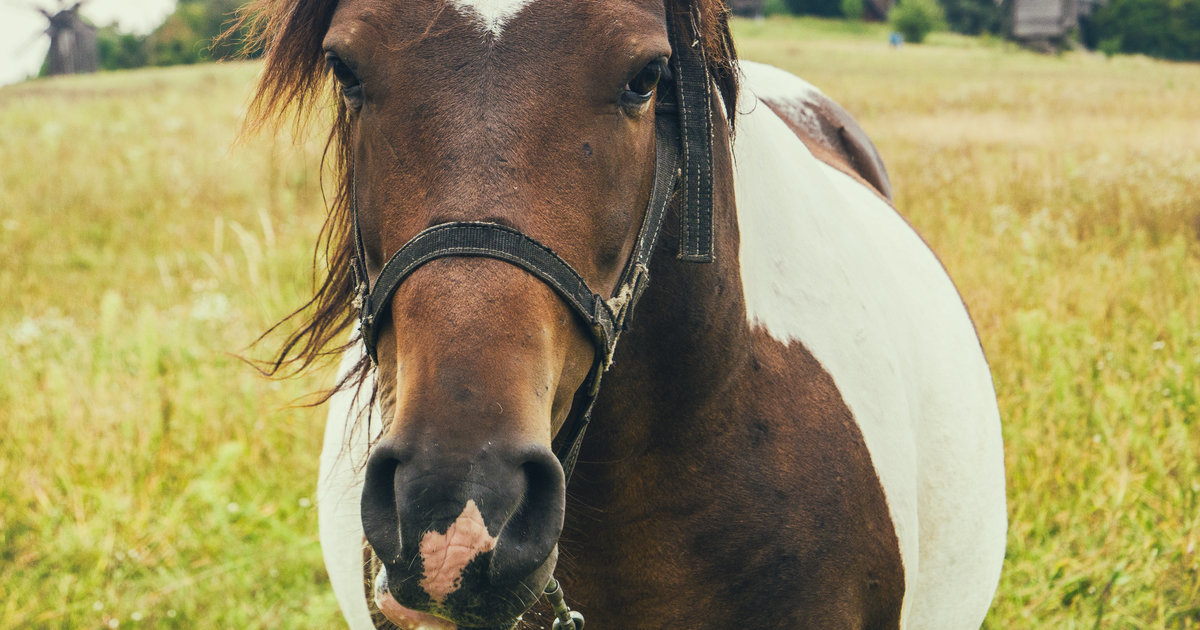 The Most Profound ‘Shower Thoughts’ On Reddit This Week