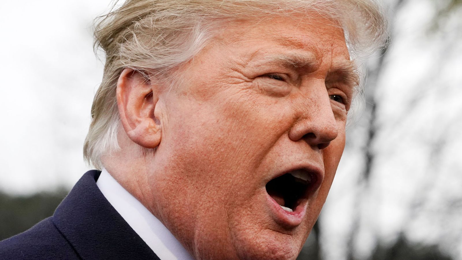 PM’s Brexit deal ‘great’ for EU but not UK-US trade, Donald Trump says