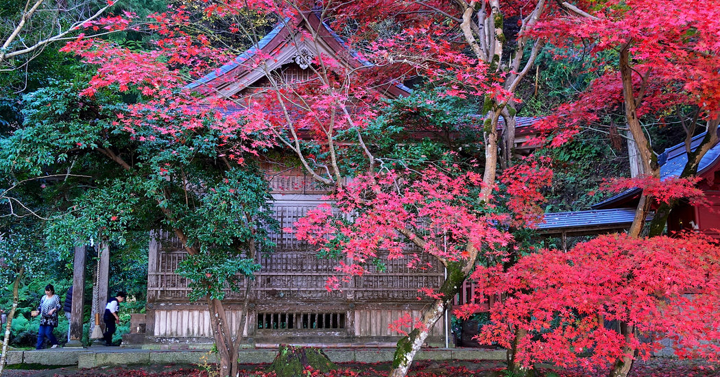Japan Offers Lessons in Eating, Walking and Bridging the Distance