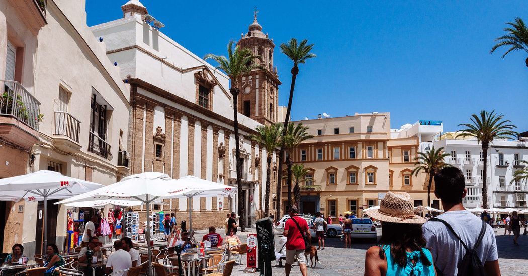 A City in Spain Plans to Exile 5,000 Pigeons. Will They Stay Away?