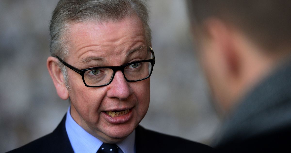 Michael Gove pays tribute to NHS after his son’s horrific Christmas Eve accident
