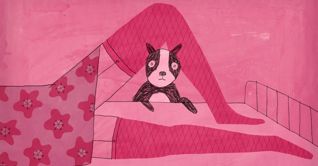 Modern Love: Your Dog Has Seen Me Naked