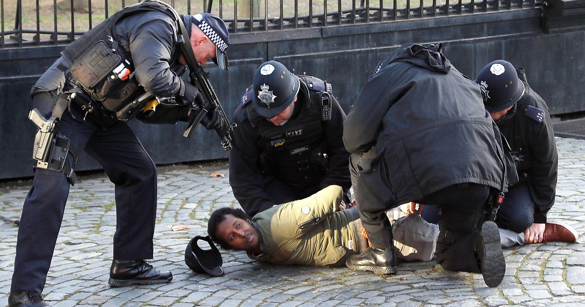 Houses of Parliament incident: ‘Intruder’ tasered near where PC Keith Palmer was killed