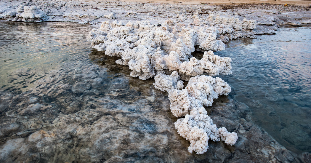The Otherworldly Beauty of a Dying Sea