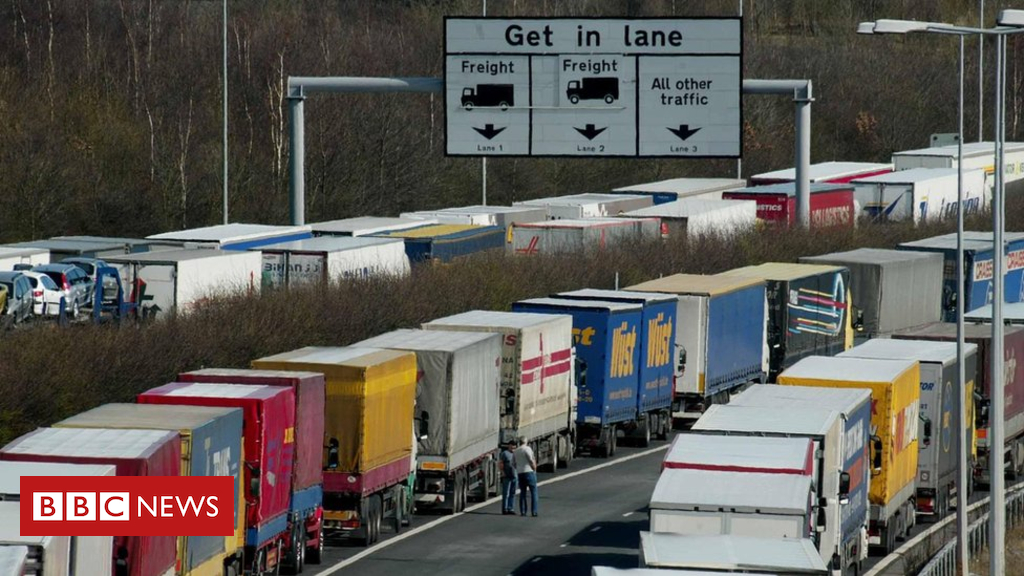 No-deal Brexit: Disruption at Dover ‘could last six months’