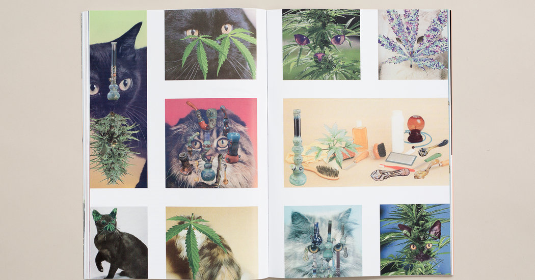 High Times Has Some Glossy New Competition