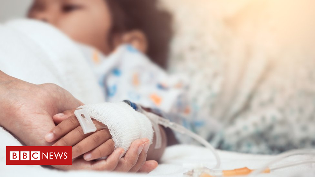 Sponge offers hope of ‘less toxic’ chemotherapy