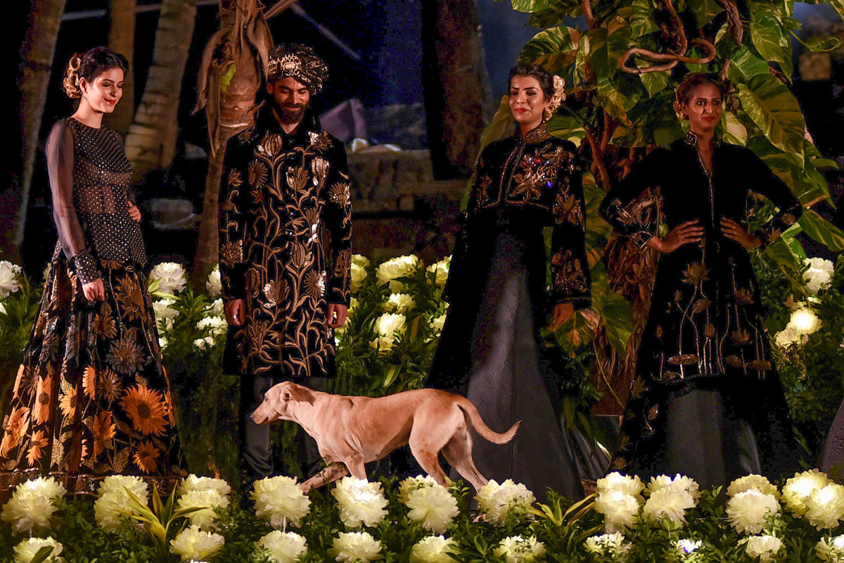 Dog makes accidental modeling debut on Mumbai fashion runway