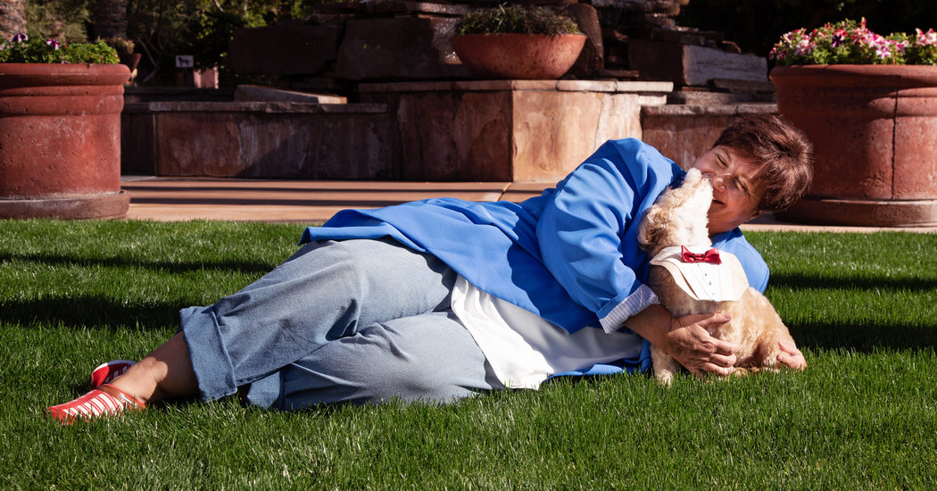 After Covering More than 7,000 Weddings, Something New: A Canine Groom
